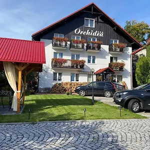 Orchidea Schreiberhau